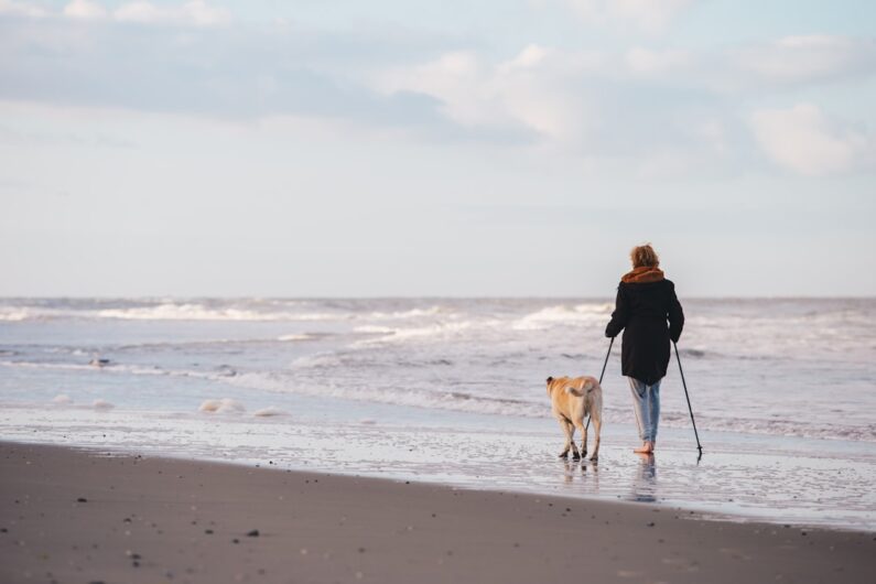 Optimal Hundeluftning: Sundhed, Glæde og Social Interaktion for Din Hund