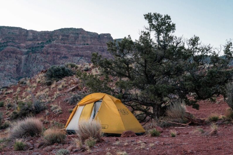 Oplev De Bedste Campingpladser i Danmark